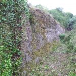 Coxwell Pit, Faringdon
After conservation session, May 20th 2017