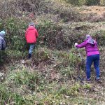 Charlbury quarry clearance November 6th 2021